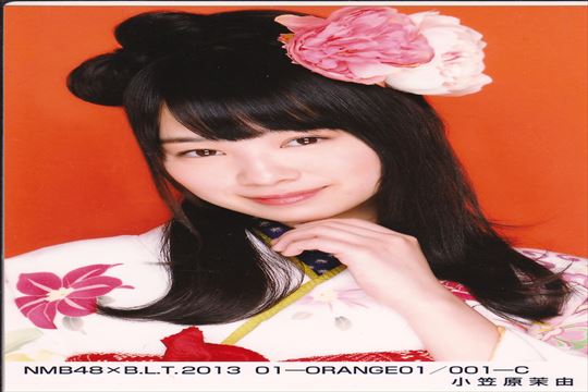 【驚愕】競馬 芸能人 結果払い戻し最高額9370万円!じゃい・DAIGO・田中裕二の的中秘訣と予想テクニック完全解説